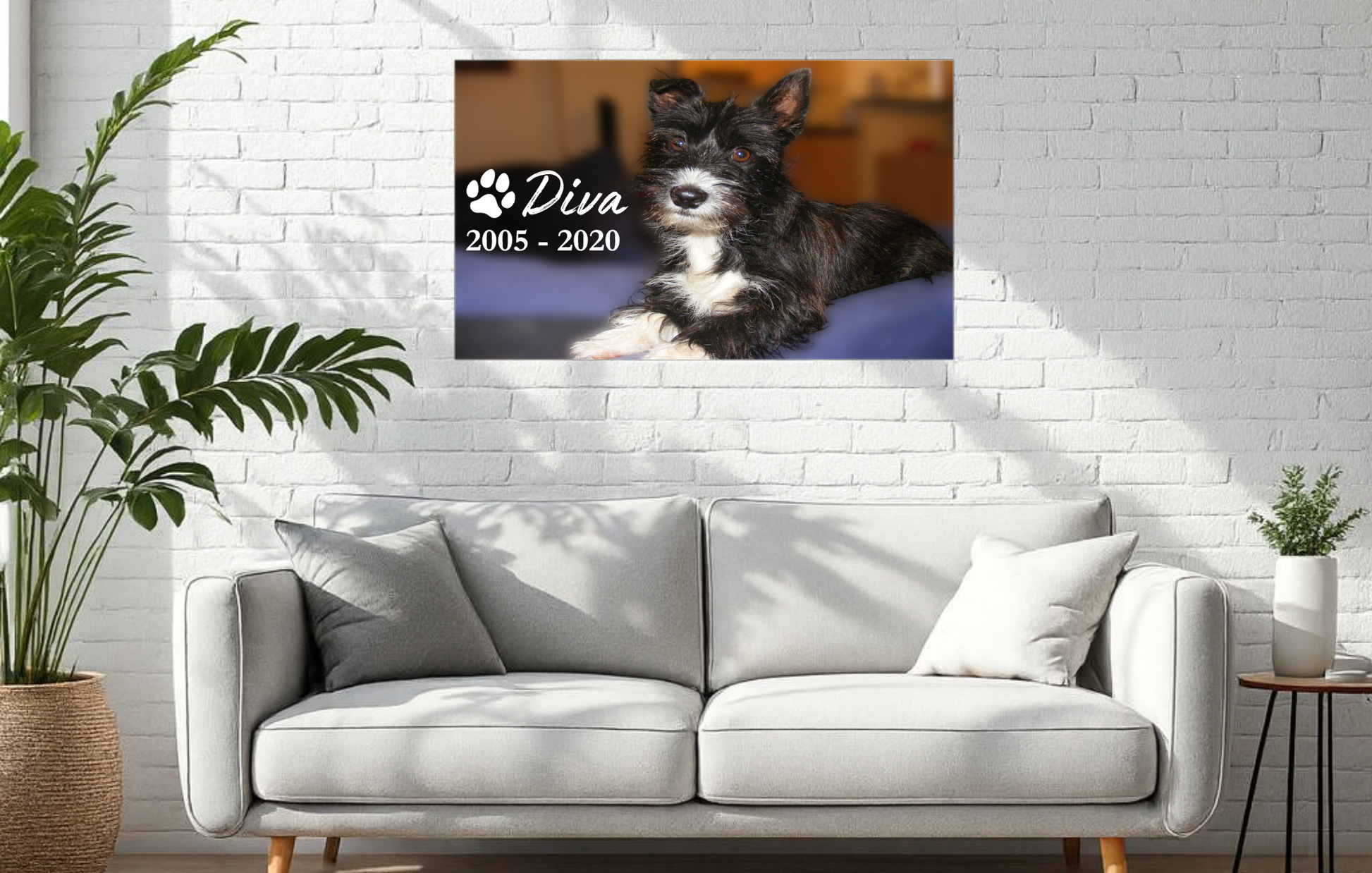 metal print of a dog with 'Diva' and years displayed above a white sofa.